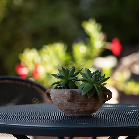 Agriturismo Il Colle Siena Eksteriør bilde