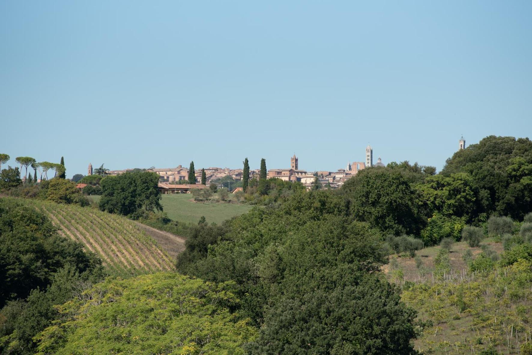 Agriturismo Il Colle Siena Eksteriør bilde