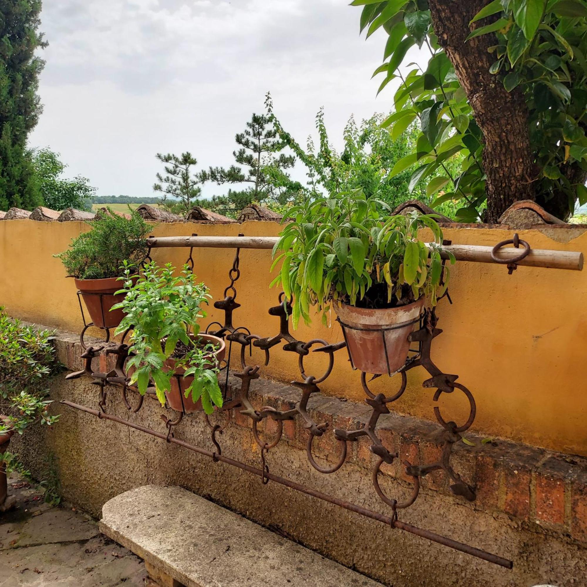 Agriturismo Il Colle Siena Eksteriør bilde