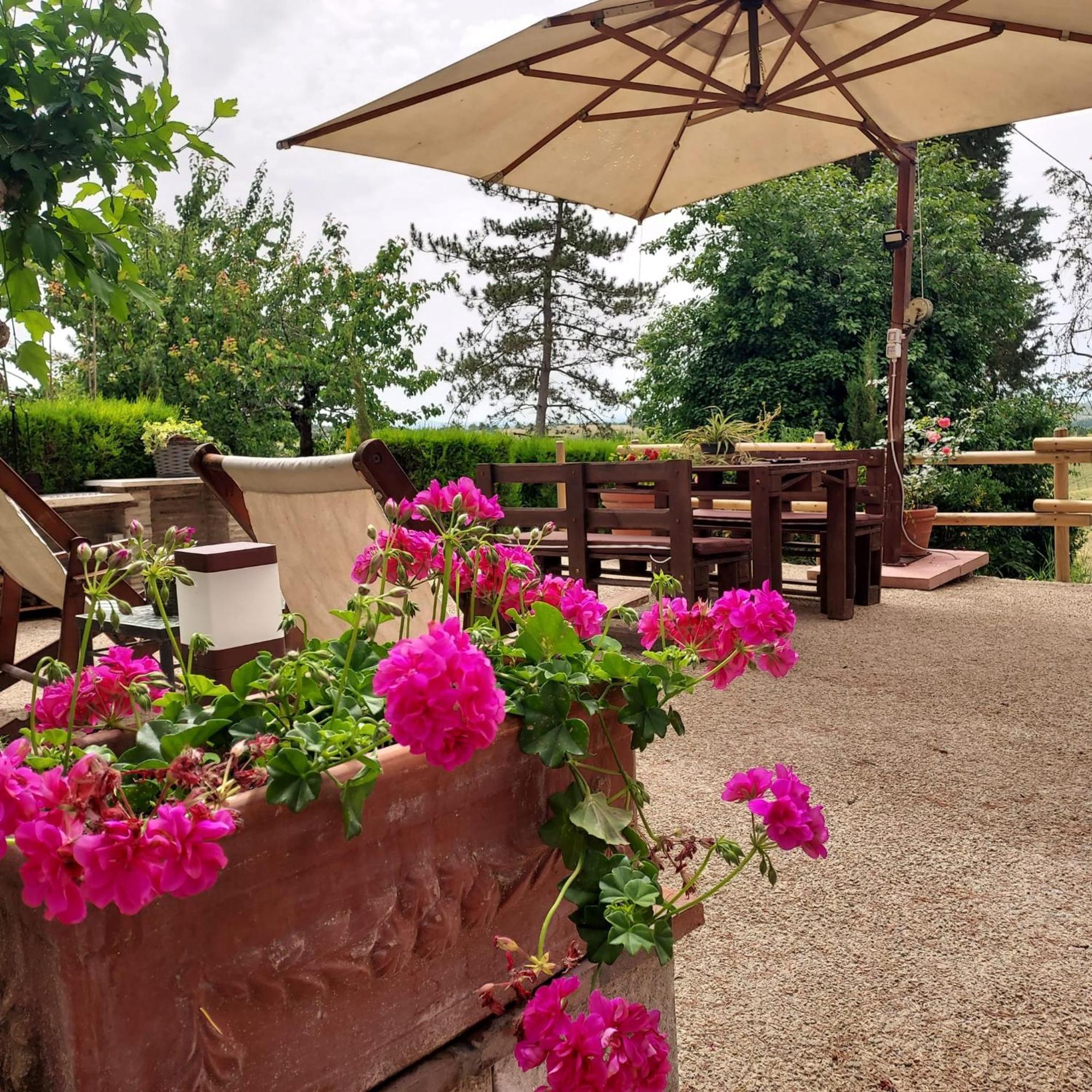 Agriturismo Il Colle Siena Eksteriør bilde