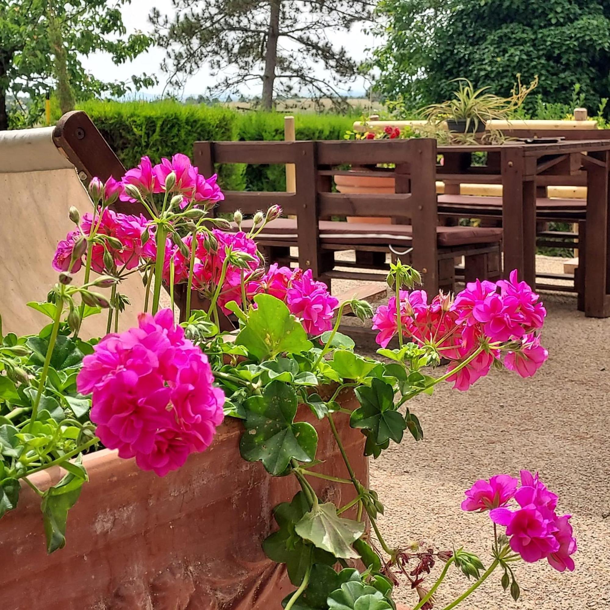 Agriturismo Il Colle Siena Eksteriør bilde