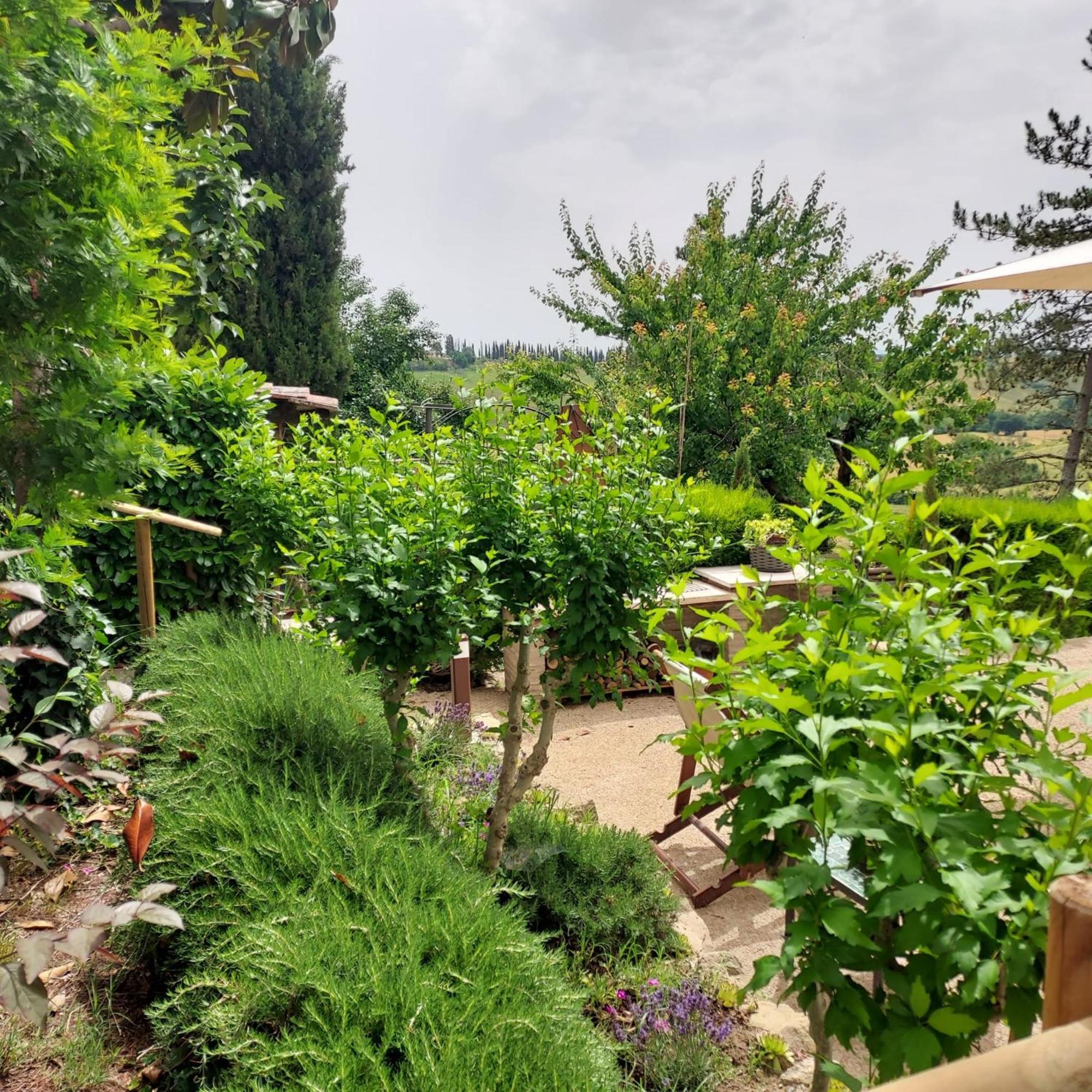 Agriturismo Il Colle Siena Eksteriør bilde